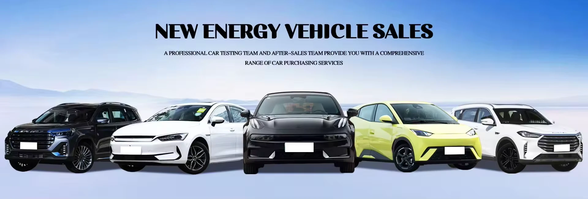 cnzgauto (2)